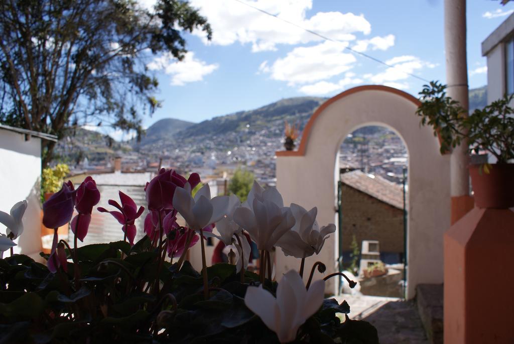Casa Vista Hermosa Quito Oda fotoğraf
